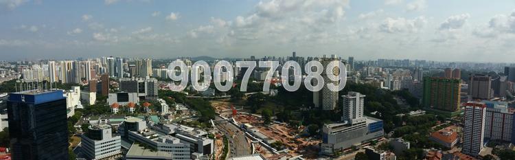 Blk 1A The Pinnacle@Duxton (Bukit Merah), HDB 5 Rooms #75392372